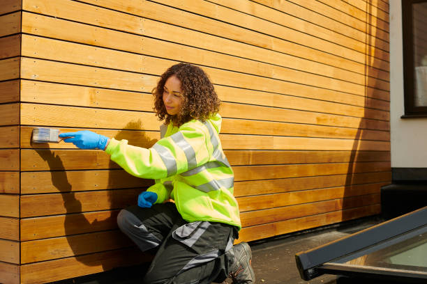 Best Engineered Wood Siding  in Mayer, MN